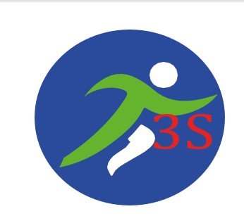 3S